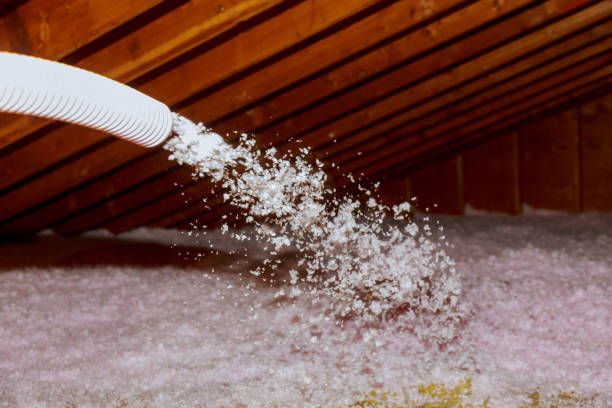 Best DIY Insulation Kits and Guidance in Waterloo, IN