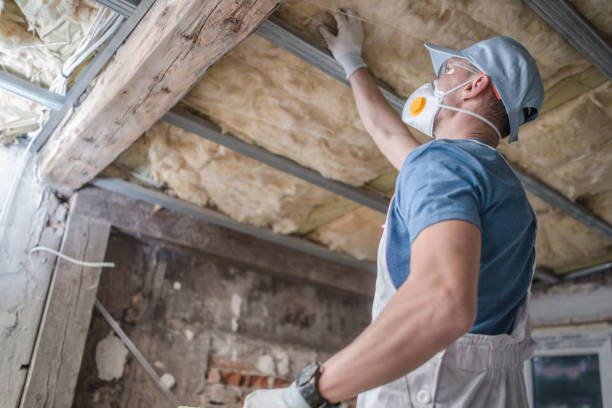 Best Energy Efficiency Insulation in Waterloo, IN