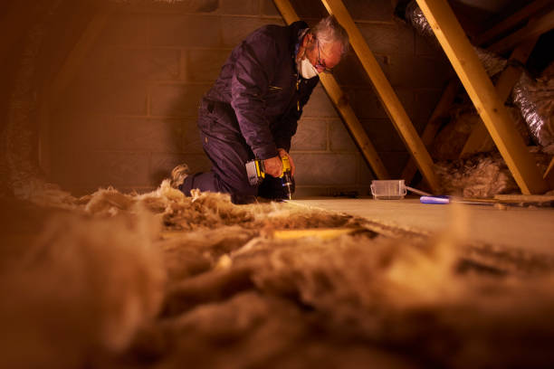 Professional Insulation Contractor in Waterloo, IN